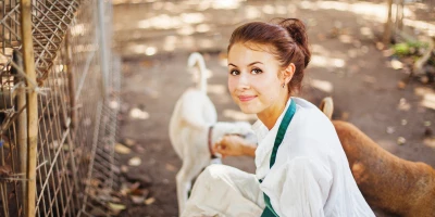 MAESTRÍA AUXILIAR VETERINARIA ECUESTRE: Maestría Internacional en Auxiliar de Veterinaria Ecuestre