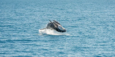 MASTER OCEANOGRAFIA: Master en Oceanografía