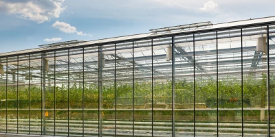 Master en Química Agrícola y Nuevos Alimentos