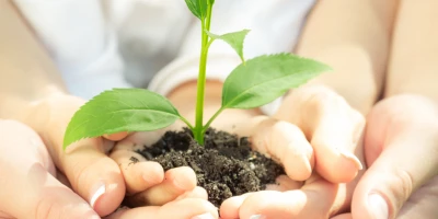 CURSO MF1114_1: Trabajos Auxiliares en la Elaboración de Composiciones con Flores y Plantas