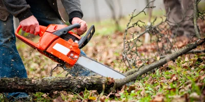 CURSO MF1970_2: MF1970_2 Gestión a Nivel Básico de la Prevención de Riesgos Laborales en el Ámbito de la Prevención y Extinción de Incendios Forestales