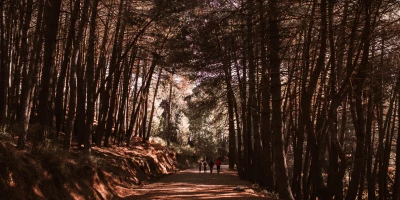 Curso Monitor de Educación Ambiental