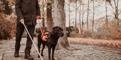 CURSOS INSTRUCCIÓN PERROS DE ASISTENCIA: SSCI0112 Instrucción de Perros de Asistencia (Certificado de Profesionalidad Completo)