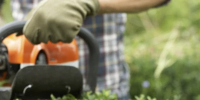 Curso UF0020 Operaciones para la Instalación de Jardines y Zonas Verdes