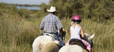 Curso UF0835 Monta a Caballo