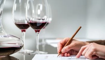 CURSO UF0849: Preparación y Cata de Vinos y Otras Bebidas Alcohólicas