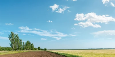 CURSO INSTALACIONES PLANTAS VIVEROS: Curso Online Coordinación del Manejo de Instalaciones y Expedición de Plantas y Tepes en Vivero