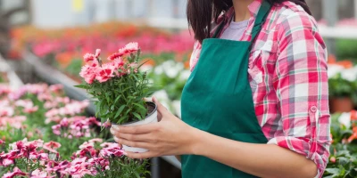 CURSO UF1747: UF1747 Realización y Montaje de Escaparates y Exposiciones en la Sala de Ventas de una Floristería