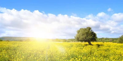 Magíster en Medio Ambiente