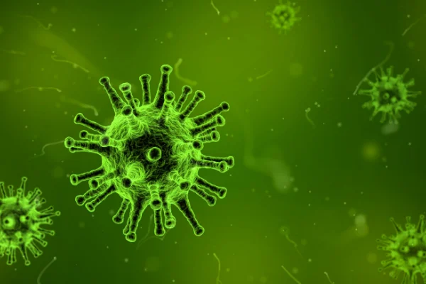scienza che studia i virus