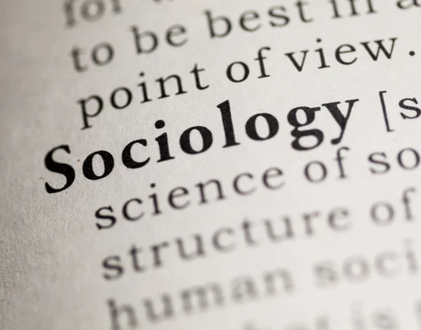 campo di studio della sociologia