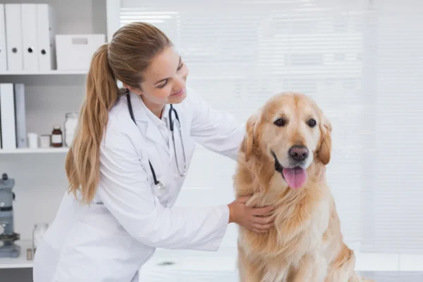 Cos'è l'oncologia veterinaria
