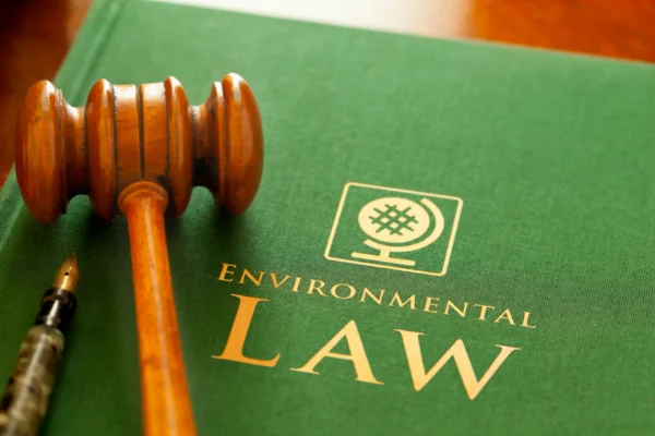Sbocchi professionali nel diritto ambientale