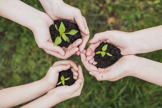 come ottenere la certificazione ambientale