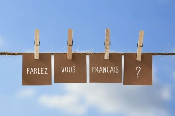 Cosa studiare per diventare un insegnante di francese