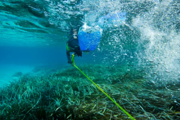 scienza del mare