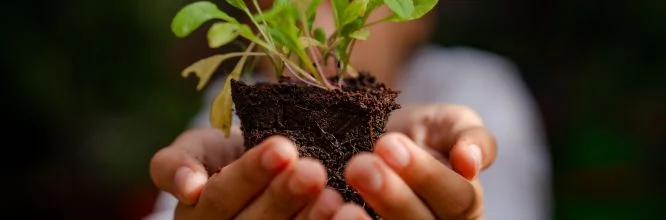 Acciones sustentables en casa