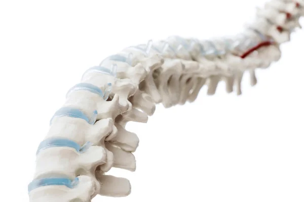 Quali problemi tratta l'osteopatia?
