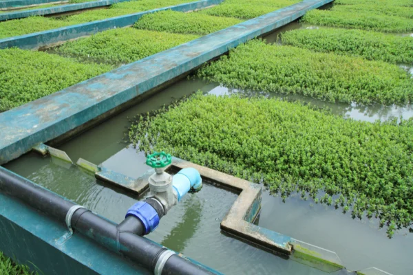 que son las plantas de tratamientos de aguas