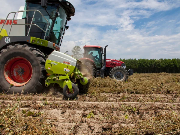 lavoro di ingegnere agrario