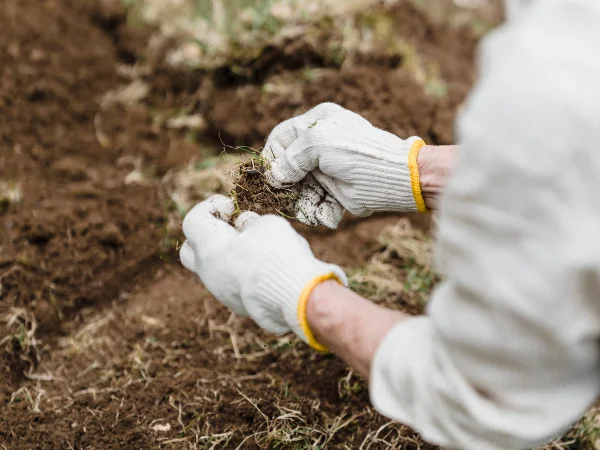 lavoro di ingegnere agrario