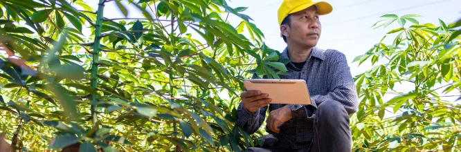 ¿Qué es y que estudia la agronomía?