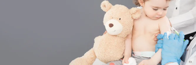 Osos de Peluche - Teddy Bear Adecuados para todas las edades- Pilarín