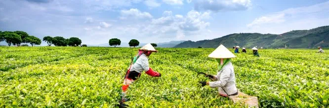 agricultura ecológica