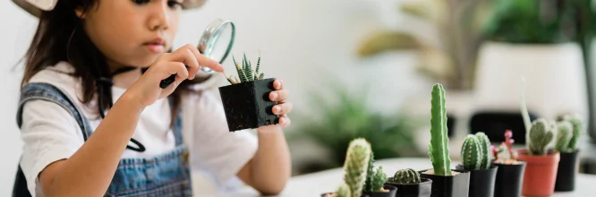 Método Montessori vs. Educación tradicional: Principales diferencias