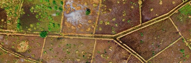 ¿Cuándo procede la expropiación de tierras en Bolivia?