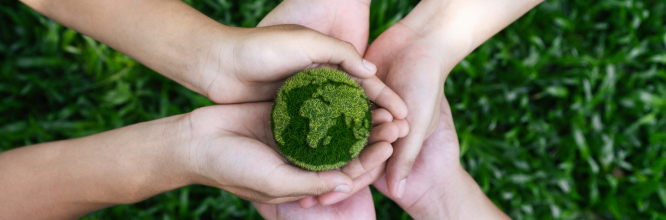 Consulente ambientale: cosa fa e come diventarlo 
