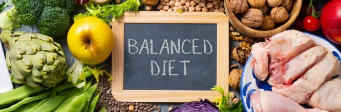 ¿A qué llamamos dieta balanceada?