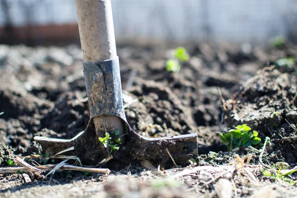 Cursos de agricultura