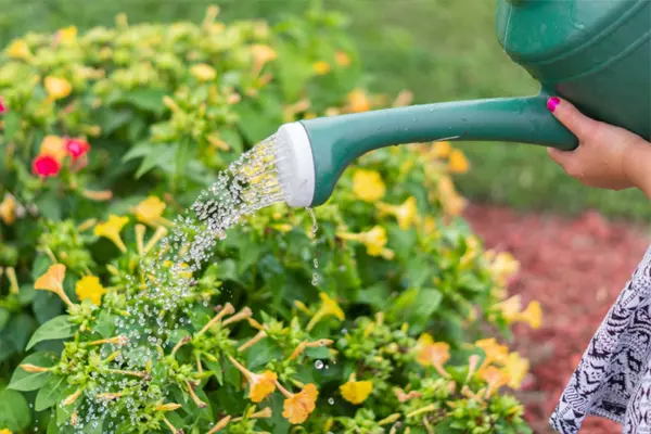 qual è lo spreco di acqua