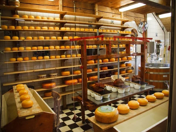 Qual è il processo di produzione del formaggio?