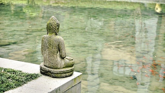 Cos'è lo Zen Coaching?: Filosofia di vita