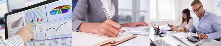 master estadistica online