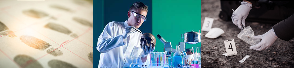 criminalistica master