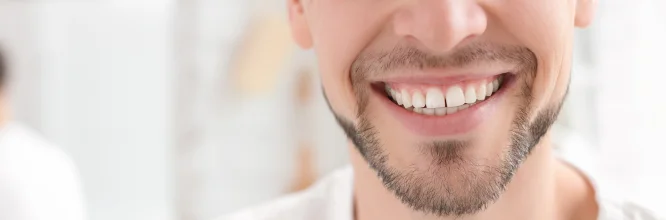 Cuántos dientes tiene una persona