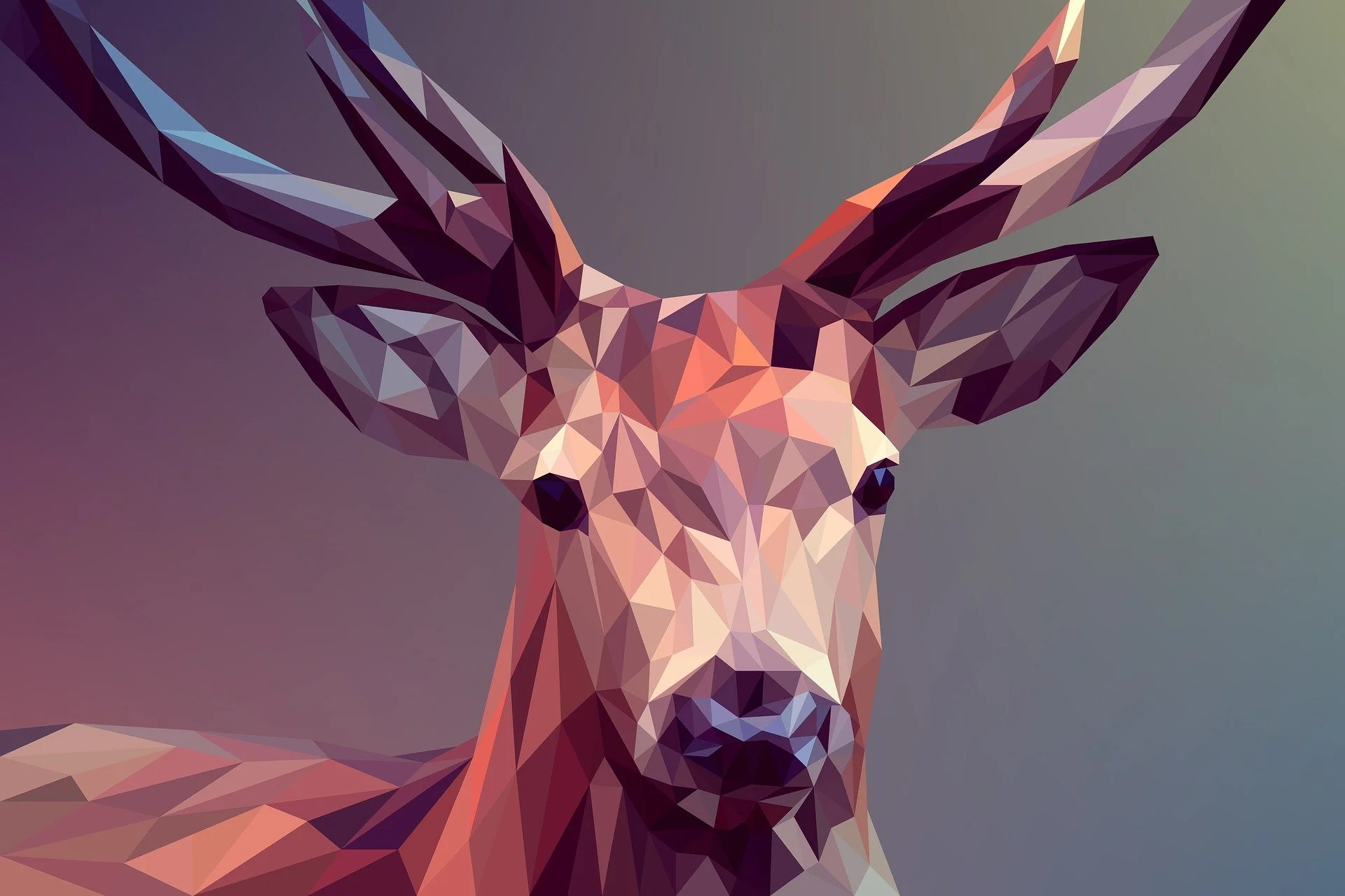 Cursos homologados de adobe illustrator