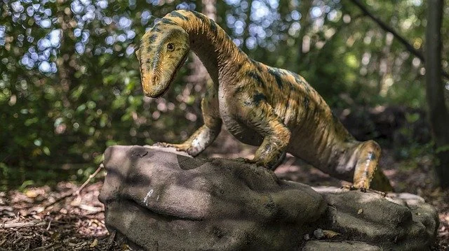 progetto sui dinosauri per la scuola materna