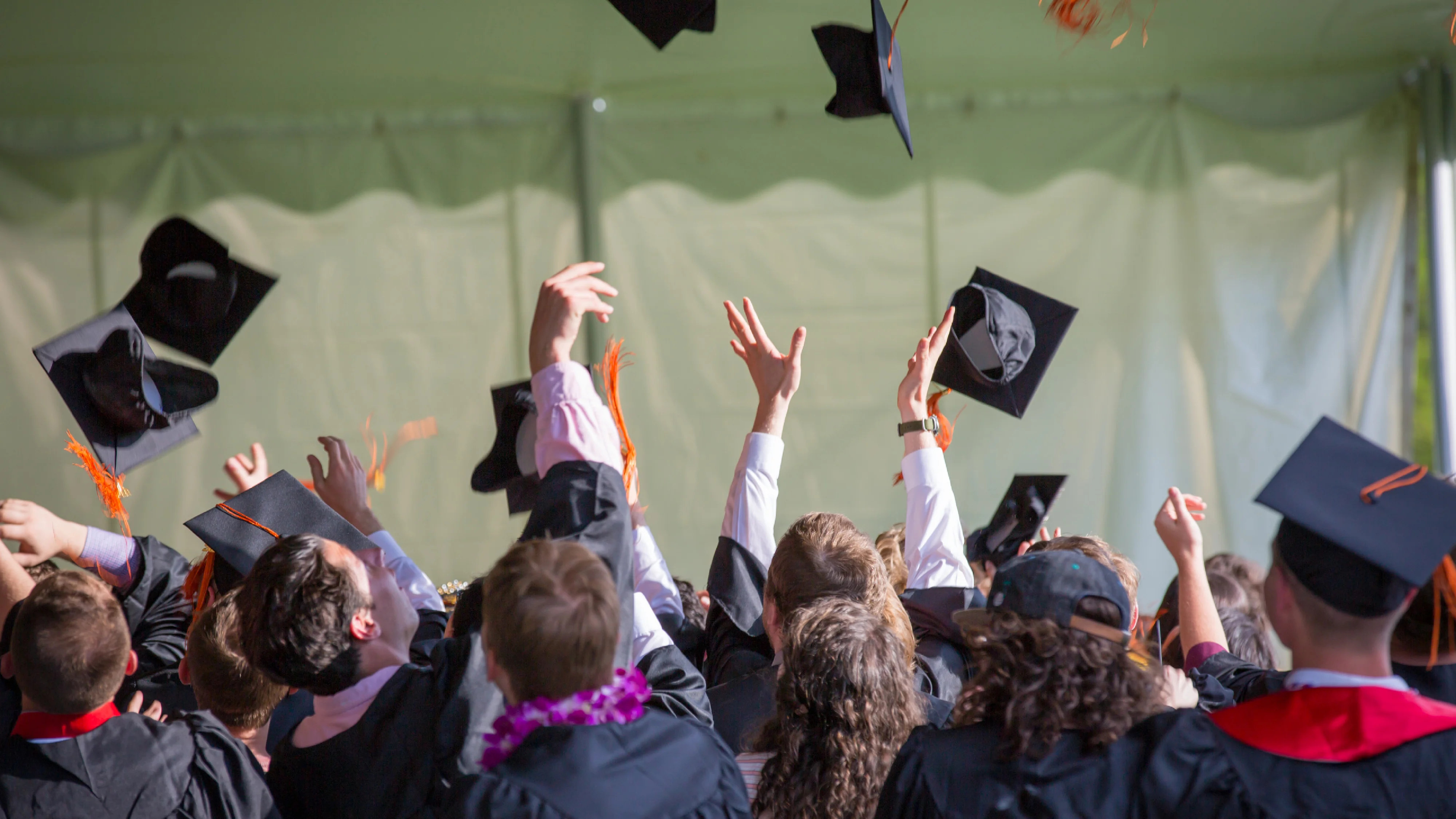 autodeterminazione e scelta accademica