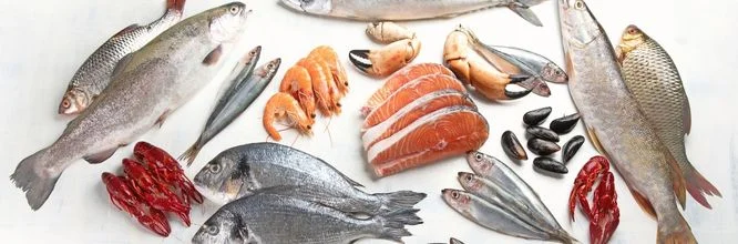 Qué estás comprando cuando compras pescado fresco?