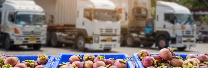 Distribución de alimentos