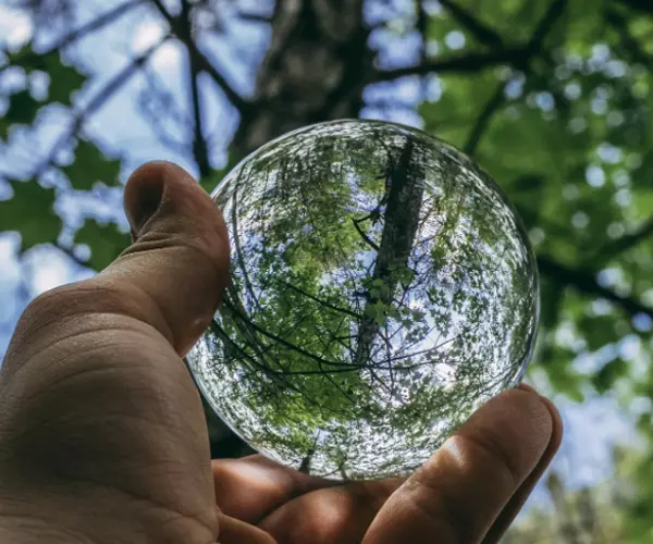 Quale branca della biologia studia l'inquinamento ambientale?