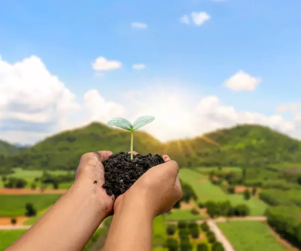 scienza che studia l'ambiente