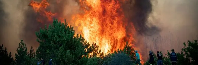 corsi sugli incendi boschivi