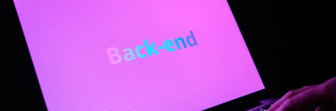 Empleo en Backend