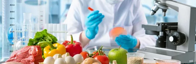 ciencia y tecnología de los alimentos 