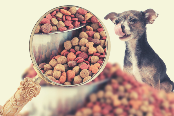 Nutrición canina | Curso Homologado EUROINNOVA